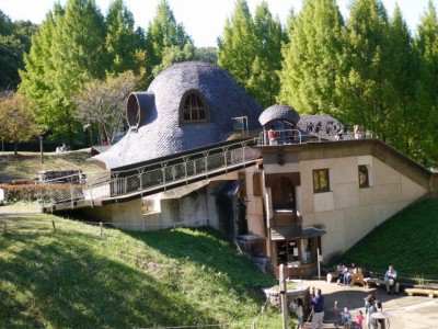 あけぼの子どもの森公園の写真14