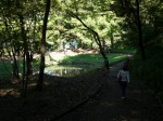 あけぼの子どもの森公園の写真のサムネイル写真23