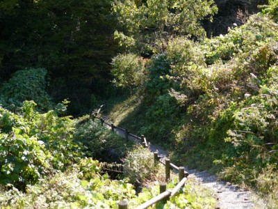 和銅採掘露天掘跡の写真5