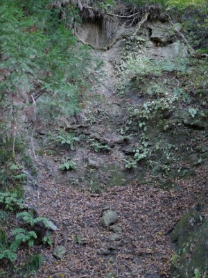 和銅採掘露天掘跡の写真14