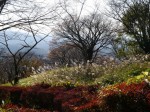 美の山公園の写真のサムネイル写真5