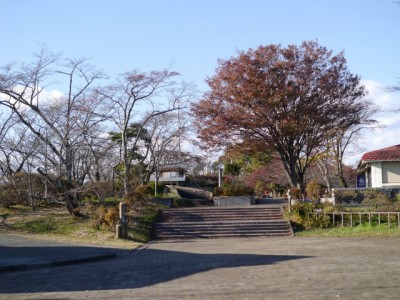 美の山公園の写真13