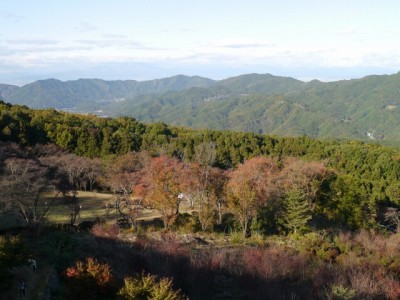 美の山公園の写真16