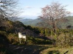 美の山公園の写真のサムネイル写真25