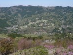 美の山公園の写真のサムネイル写真39