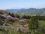 美の山公園の写真のサムネイル写真41