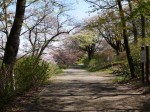 美の山公園の写真のサムネイル写真55