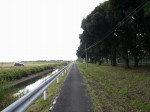 川里中央公園の写真のサムネイル写真12