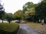 川里中央公園の写真のサムネイル写真14