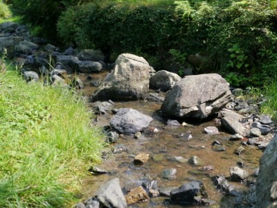 雀川砂防ダム公園の写真2