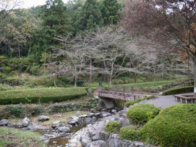 雀川砂防ダム公園の写真3