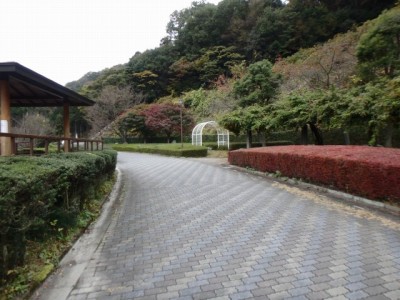 雀川砂防ダム公園の写真23