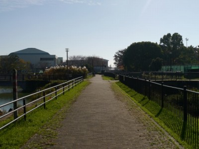 出羽公園の写真5