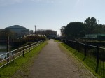 出羽公園の写真のサムネイル写真5