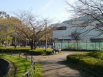 出羽公園の写真のサムネイル写真12