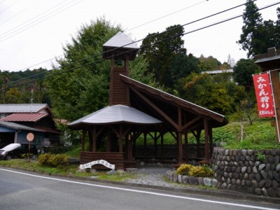 大附みかん園（小山園）の写真