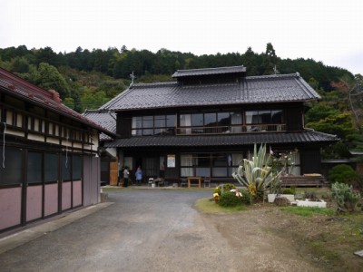 大附みかん園（小山園）の写真2