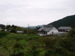 大附みかん園（小山園）の写真のサムネイル写真3