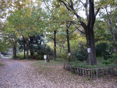 菅谷館跡の写真