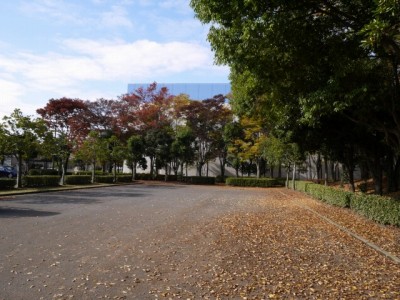 羽生中央公園の写真