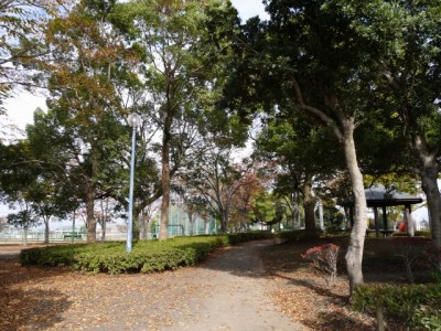 羽生中央公園の写真2