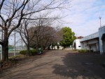 羽生中央公園の写真のサムネイル写真7