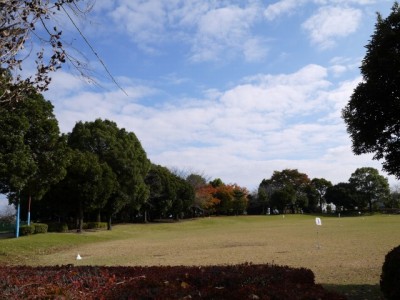 羽生中央公園の写真10