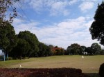 羽生中央公園の写真のサムネイル写真10