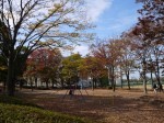 羽生中央公園の写真のサムネイル写真12