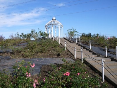 上平公園の写真13