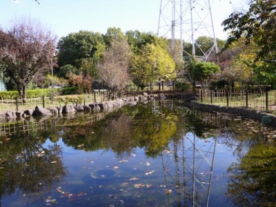 上平公園の写真16