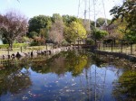 上平公園の写真のサムネイル写真16