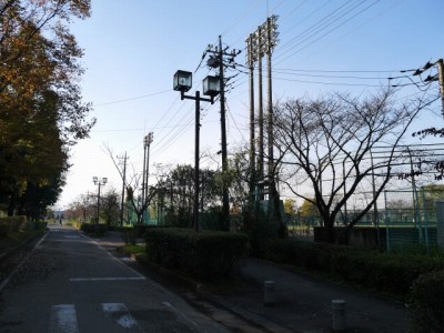 町制施行記念公園の写真2