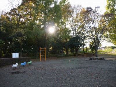 町制施行記念公園の写真4