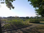 町制施行記念公園の写真のサムネイル写真6