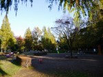 町制施行記念公園の写真のサムネイル写真7