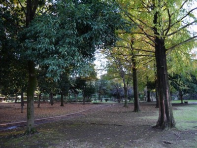 町制施行記念公園の写真9