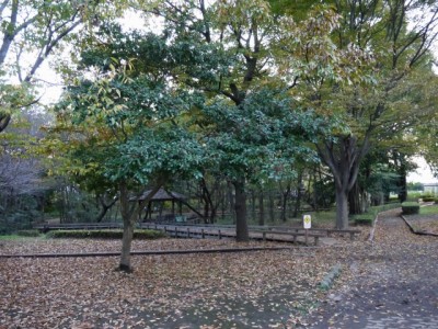 町制施行記念公園の写真16