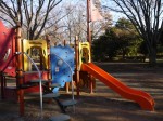 町制施行記念公園の写真のサムネイル写真18