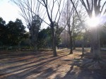 町制施行記念公園の写真のサムネイル写真20