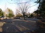 町制施行記念公園の写真のサムネイル写真23
