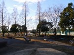 町制施行記念公園の写真のサムネイル写真25