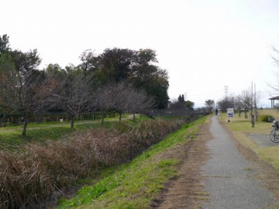 青淵公園の写真12