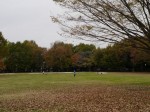 水子貝塚公園の写真のサムネイル写真9