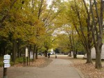 水子貝塚公園の写真のサムネイル写真15