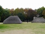 水子貝塚公園の写真のサムネイル写真16