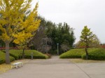 難波田城公園の写真のサムネイル写真4