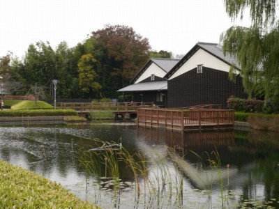 難波田城公園の写真7