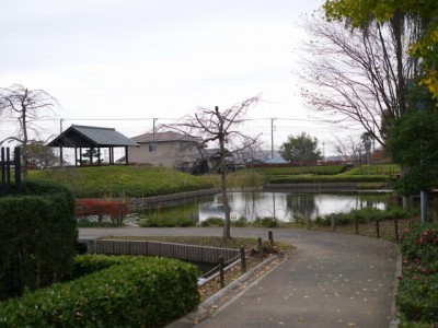 難波田城公園の写真9