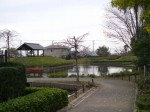難波田城公園の写真のサムネイル写真9